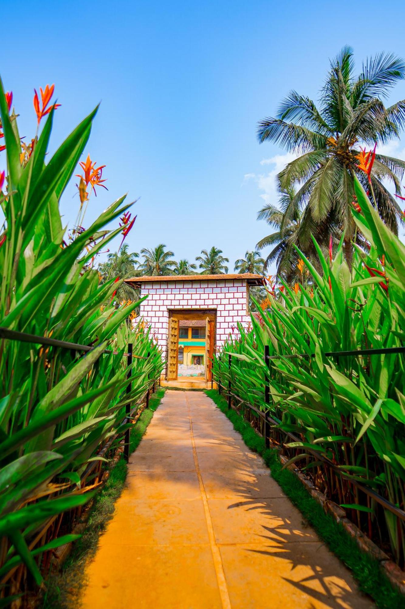 Orange Sky Beach Bungalow Agonda Exteriör bild